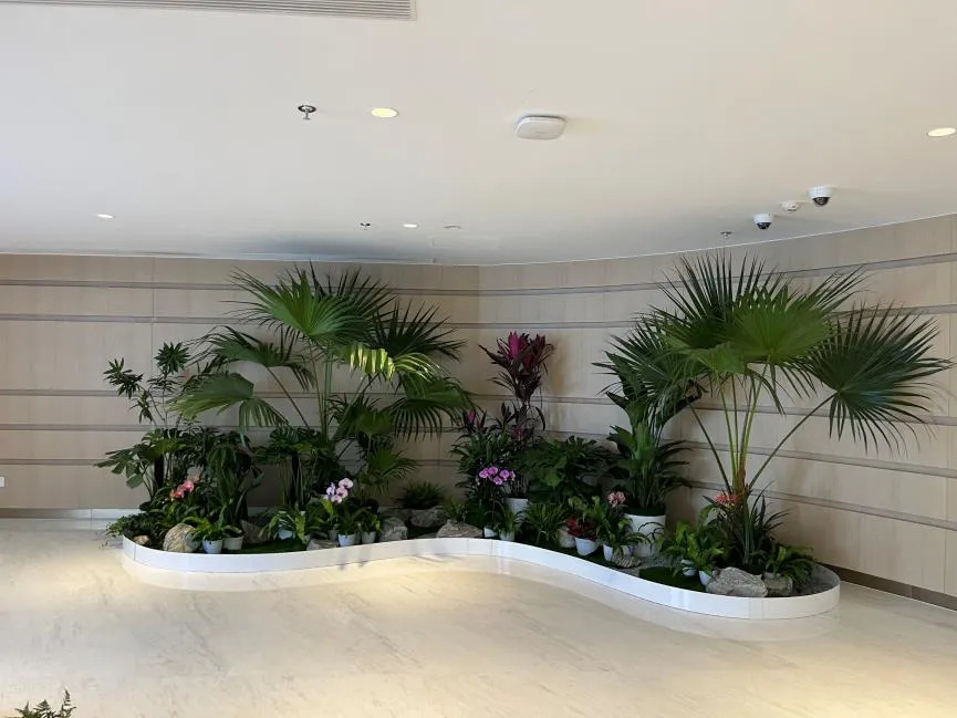 宁波前湾植物租赁服务好